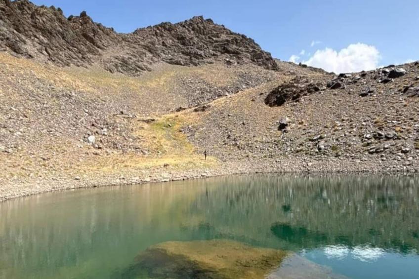 4784-+34616098696 - foto 22