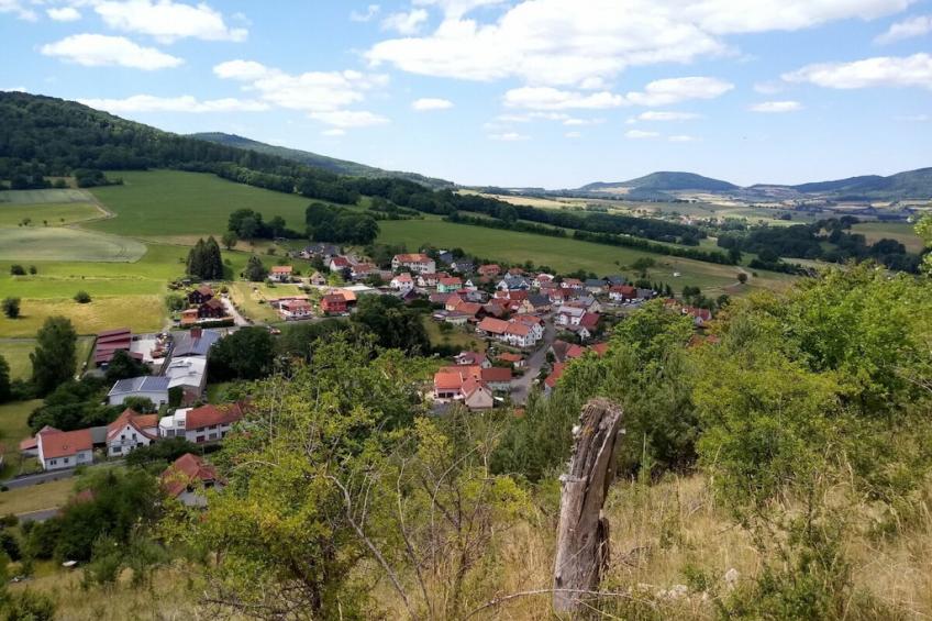362482 - foto 27