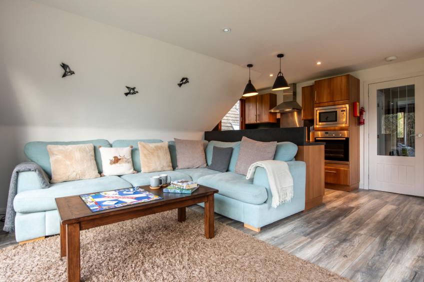 Loch Oich View (Lodge 6) - foto 15