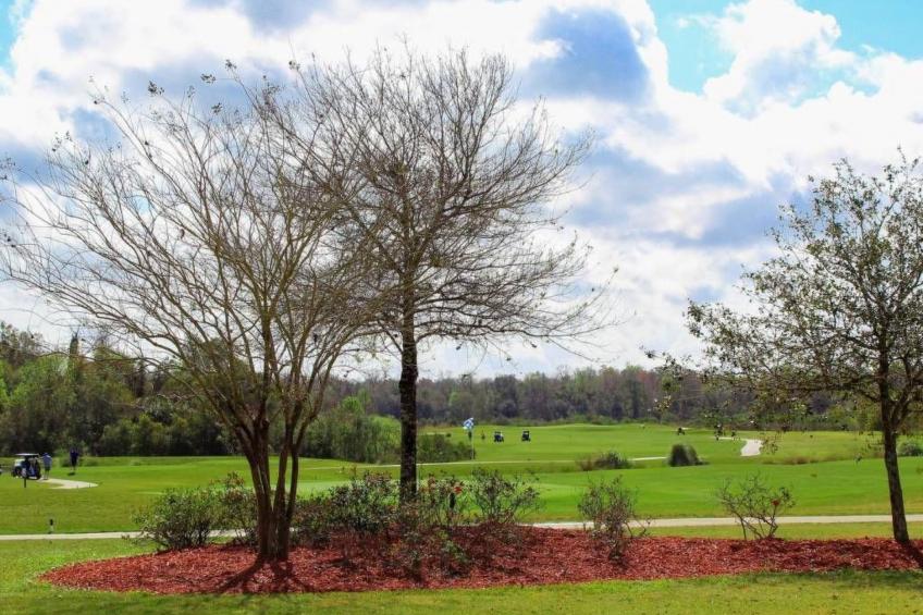 Haus in Davenport mit privatem Pool und Blick auf das Naturschutzgebiet - foto 34