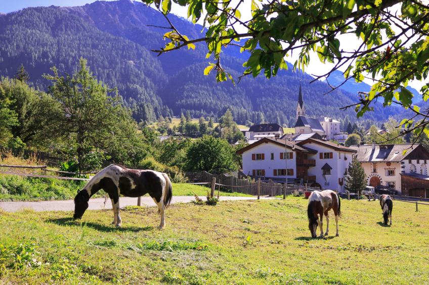 Ferienwohnungen Paclerahof, (Sta. Maria - Santa Maria Val Müstair) - foto 16