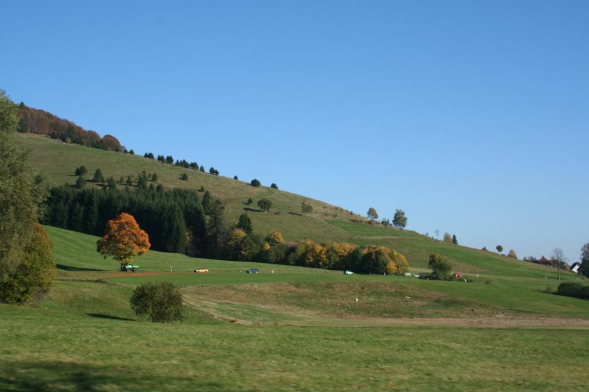 Gütenbach - foto 22