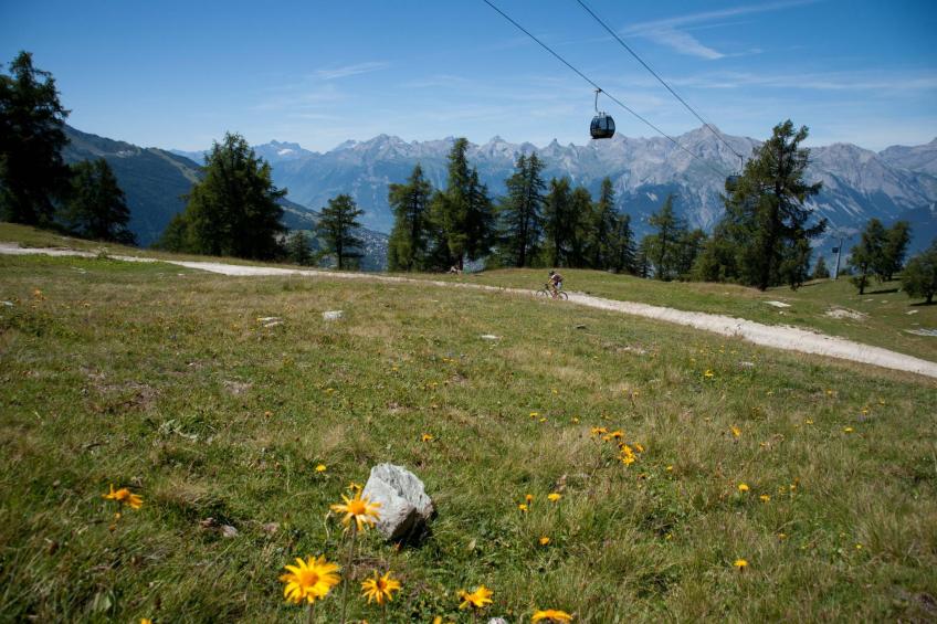 Magrappé M 647 - SKI LIFT apartment 5 pers - foto 4