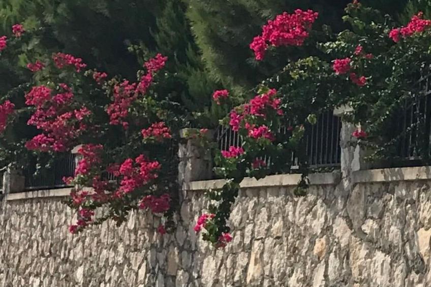 mit Terrasse - foto 58