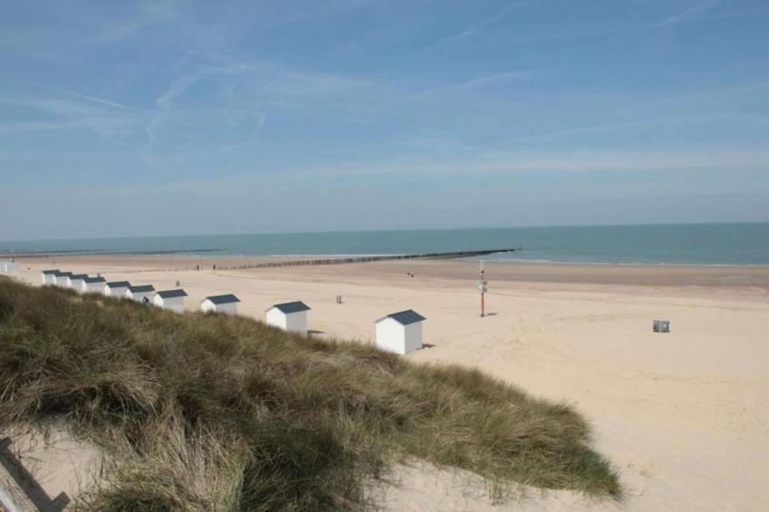 Biezenpolder - foto 35