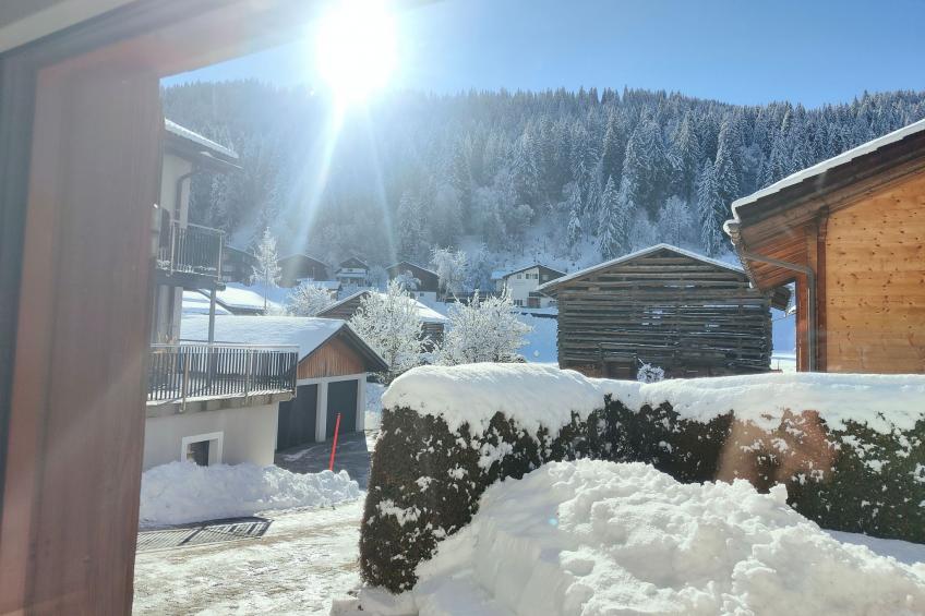 Casa Suvita _ Alpine Luxury Apartment - foto 17