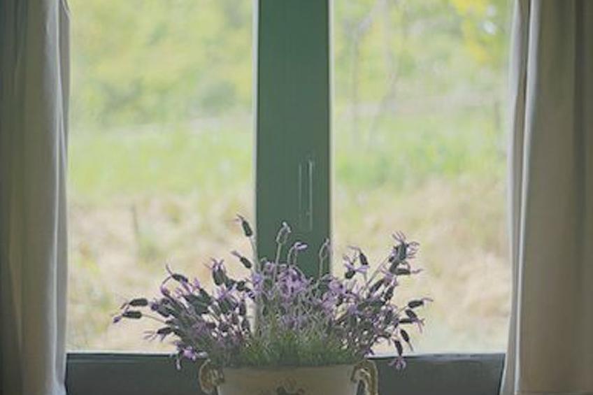 Rural Médulas Haus 1. für 4 PAX belegt. - foto 21