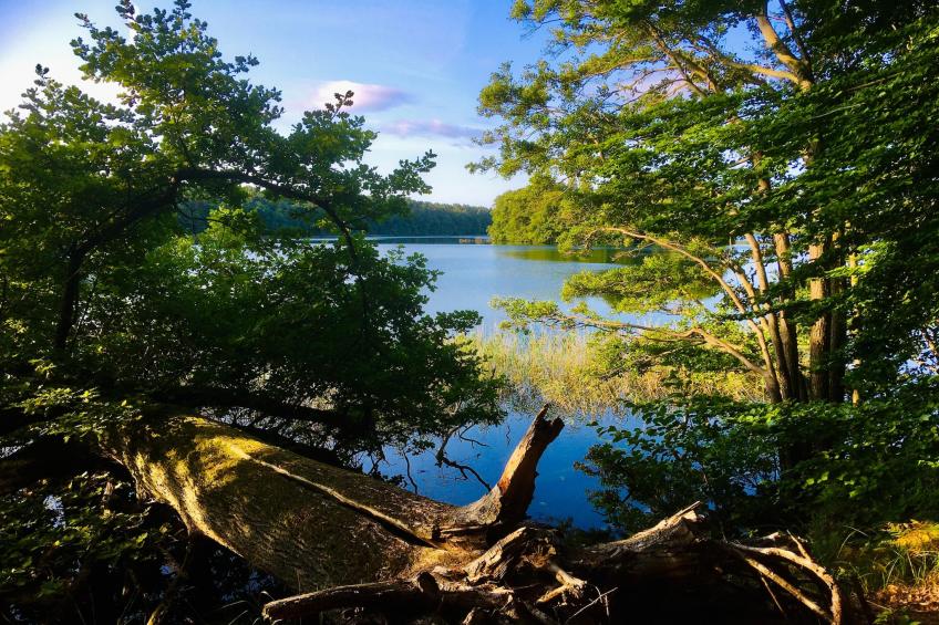 Standard Double Room - foto 28