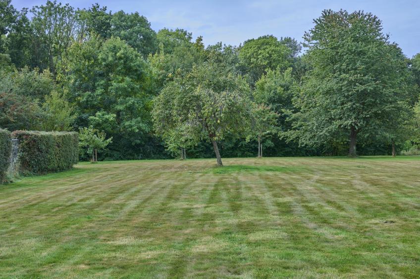 Bie Leentje op de Wei - foto 16