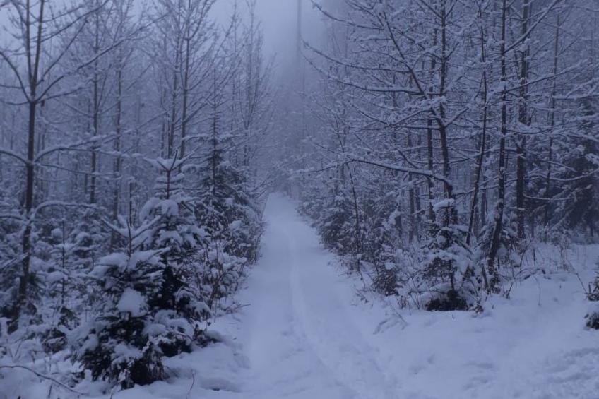 Haus Bernkogelblick in Goldegg - foto 30