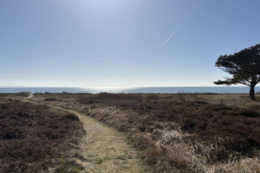 "Euphemia" - 200m from the sea - foto 10