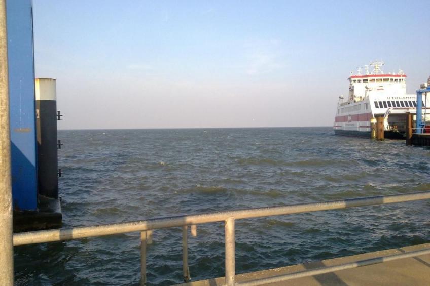 in Mühlendeich mit Großem Garten - foto 43