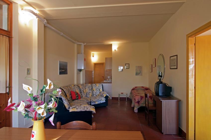 Olivo - foto 4