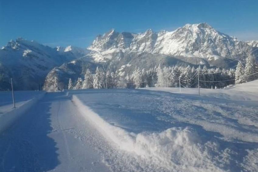 Ferien im grünen rechts - foto 21