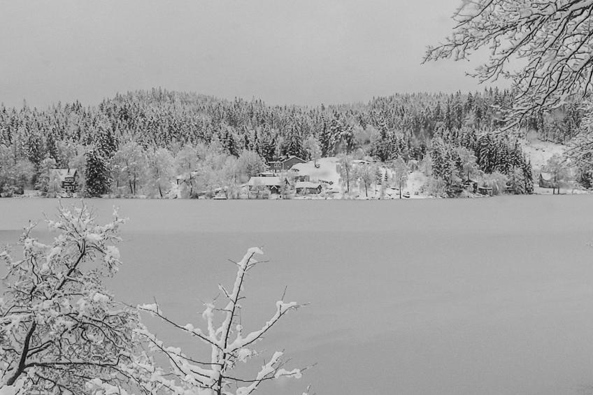 Schwedisches Glück, zwischen Wäldern und einem See - foto 37