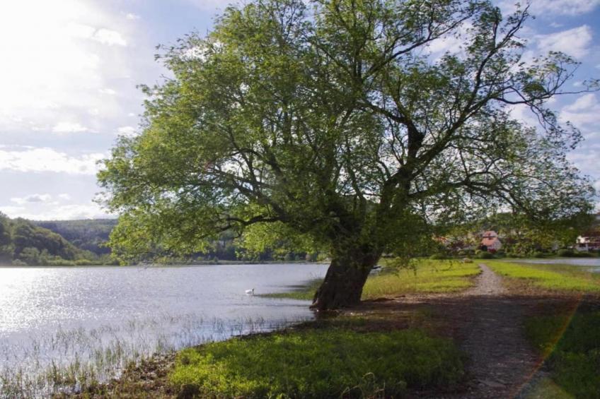 Hülsemann - foto 27