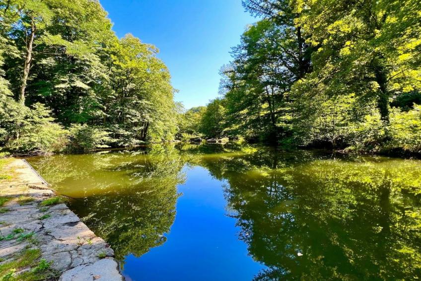 LE HAVRE SAUVAGE - foto 9