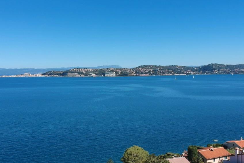 Villa del Golfo, Apartement mit Garten und Pool - foto 21