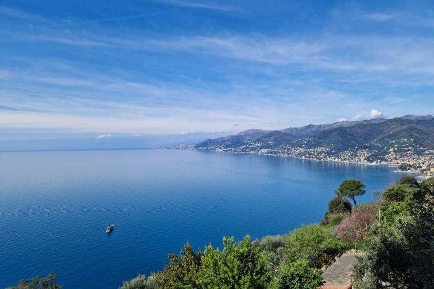 Ein Garten auf Camogli von Holiday World - foto 30