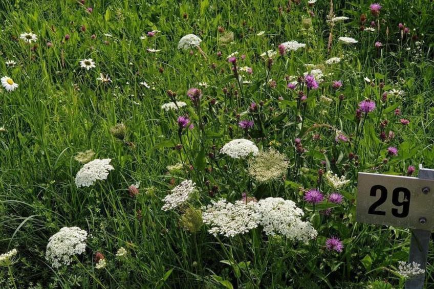 Chalet Traumfleck - foto 45