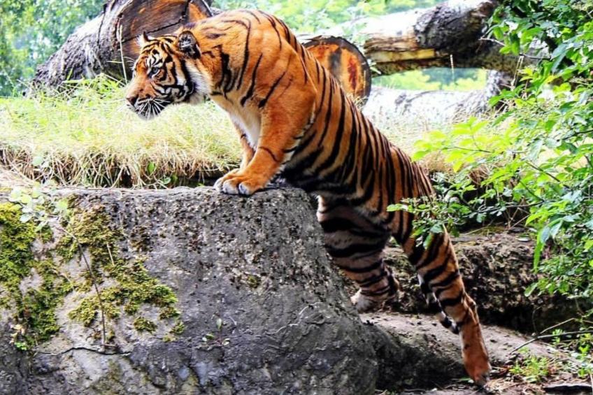 BESSERER PLATZ: Klassisches Warschau - foto 49