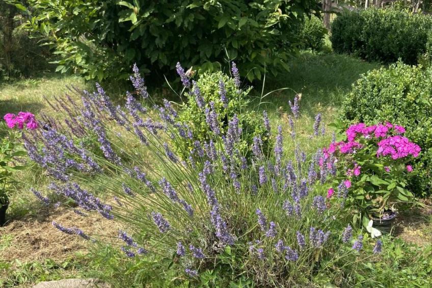 Alte Dorfschule - foto 34