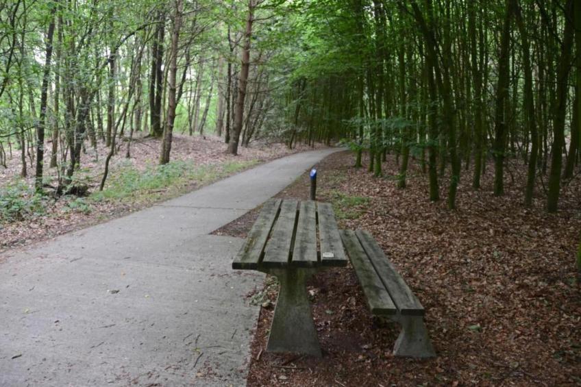 Vakantiepark de Noordster 1 - foto 28