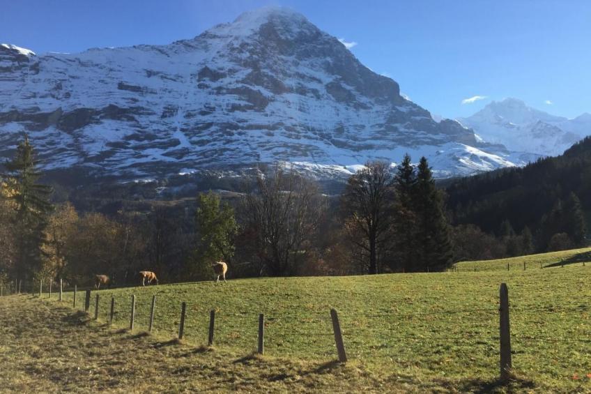 Chalet am Bühl - foto 44