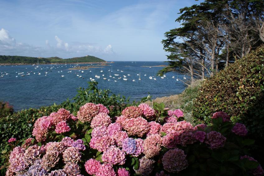Maison de ville avec terrasse/jardin Guerlesquin - foto 36