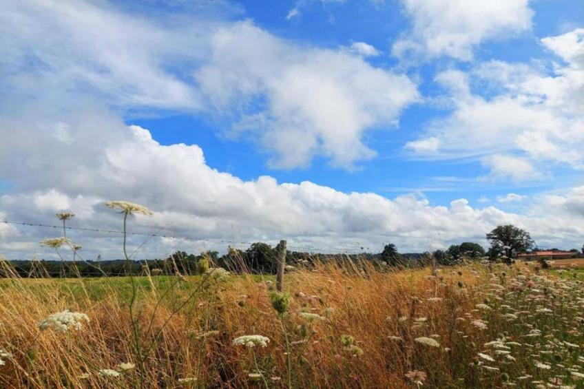 La Caleche - foto 39