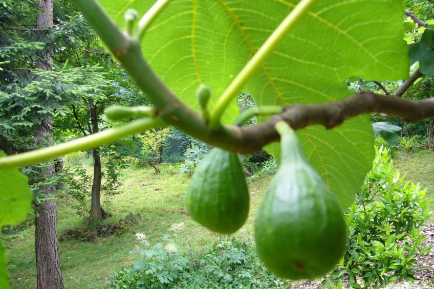 Casa Tornina - foto 29