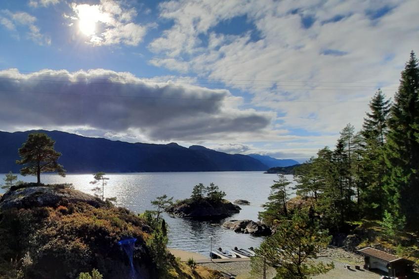 Häuschen mit Blick auf das Wasser - foto 13