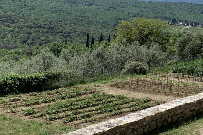 La Casetta - foto 27