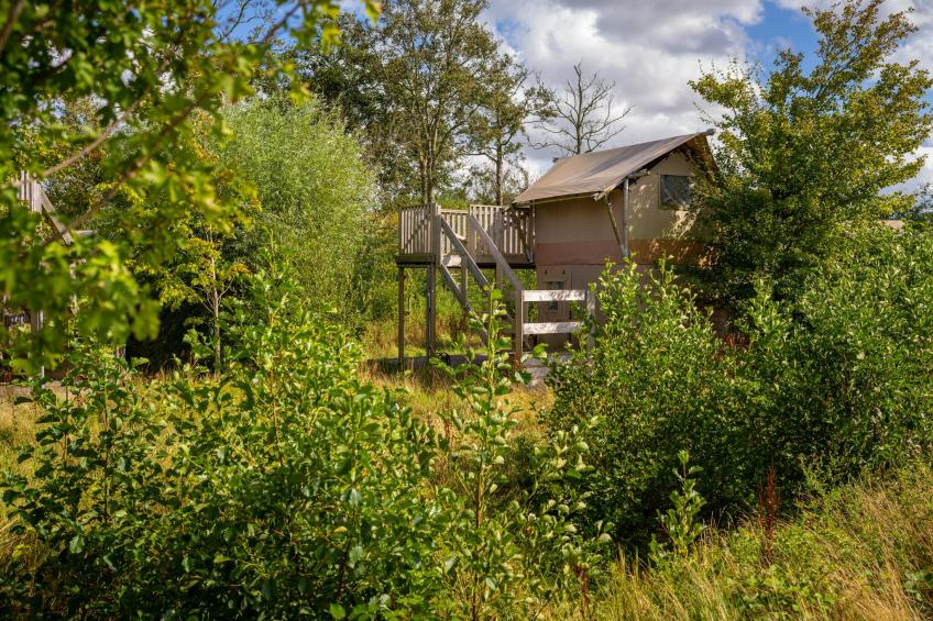 Glamping Resort Lauwersmeer 2 - foto 43