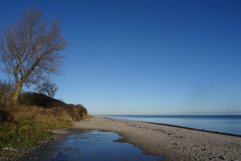 Urlaub am Meer im Ferienhaus mit Sauna - foto 3