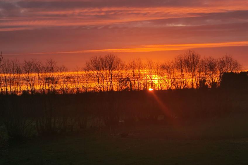 Pleine Nature in der Bretagne - foto 25