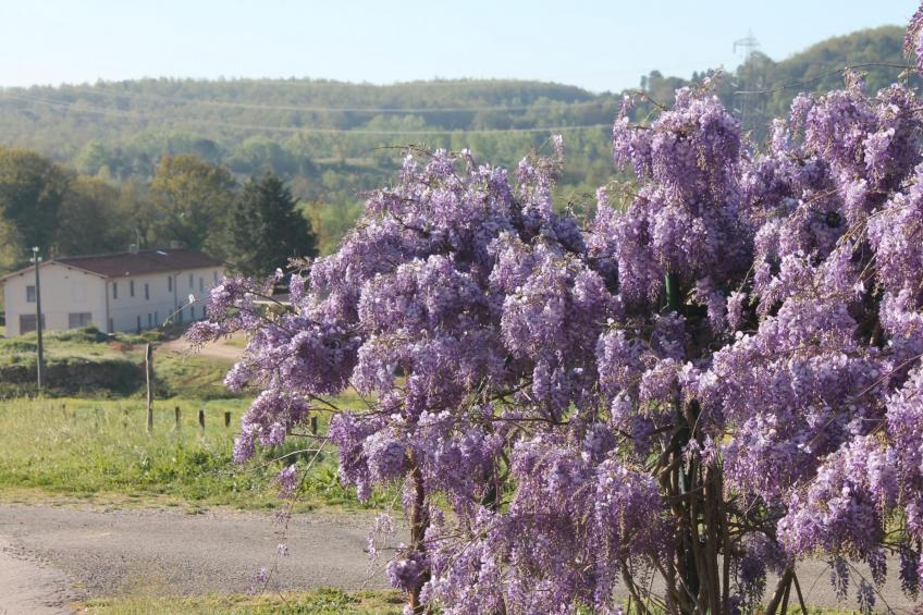 Haus in Civitella Paganico mit möbliertem Garten - foto 7