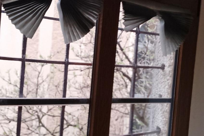 Zum Ritter Ferienwhg - foto 5