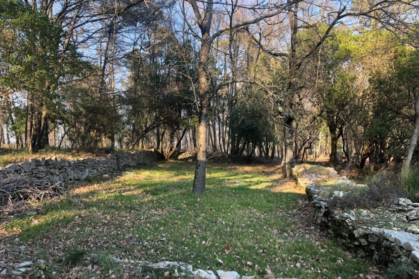 Mago in Ameglia - foto 36