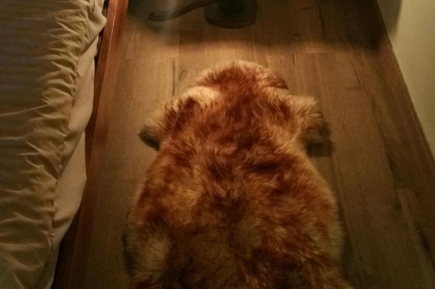 Appartement 'Borredà' mit Kaminofen - foto 5