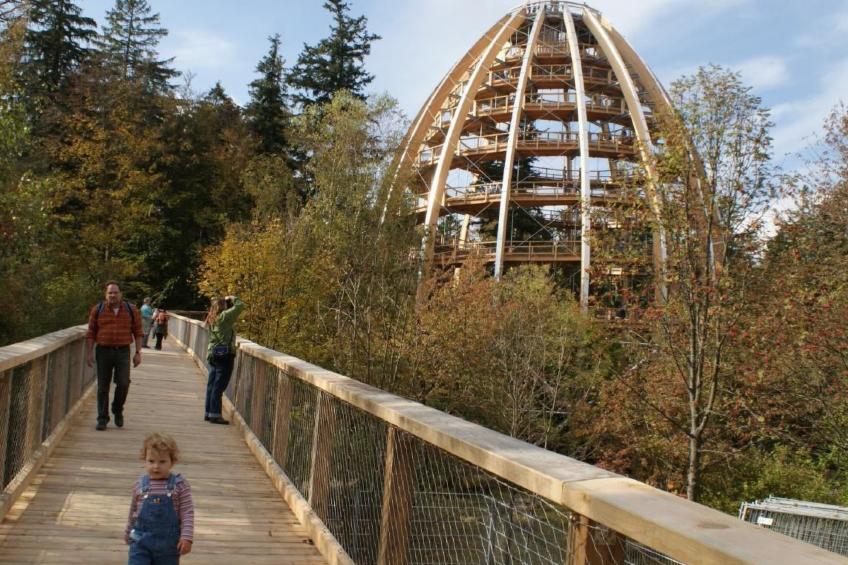 in Röhrnbach mit Grill und Terrasse - foto 27