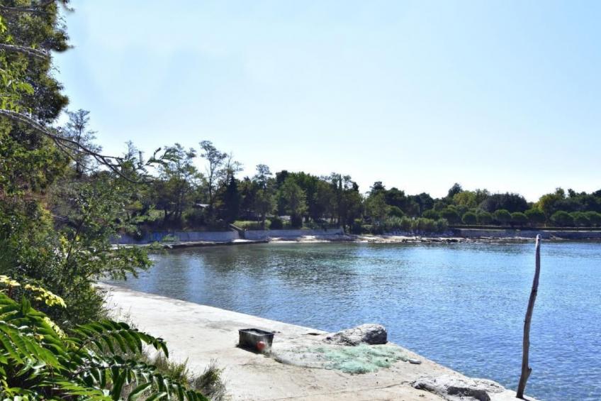 Klimatisierte Wohnung in Bašanija mit Grill - foto 42