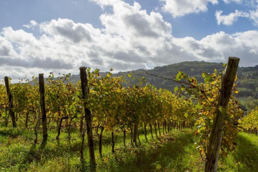 Country Resort Il Frassine - foto 40