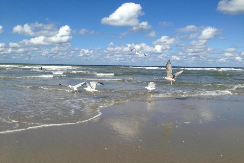 Strandpark Vlugtenburg 13 - foto 32