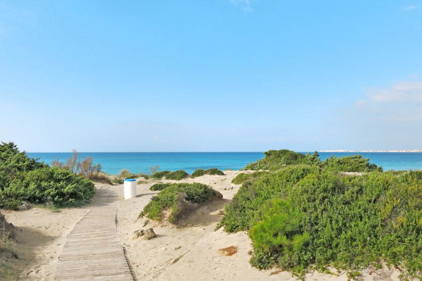 Altes Bauernhaus im Grünen - foto 26