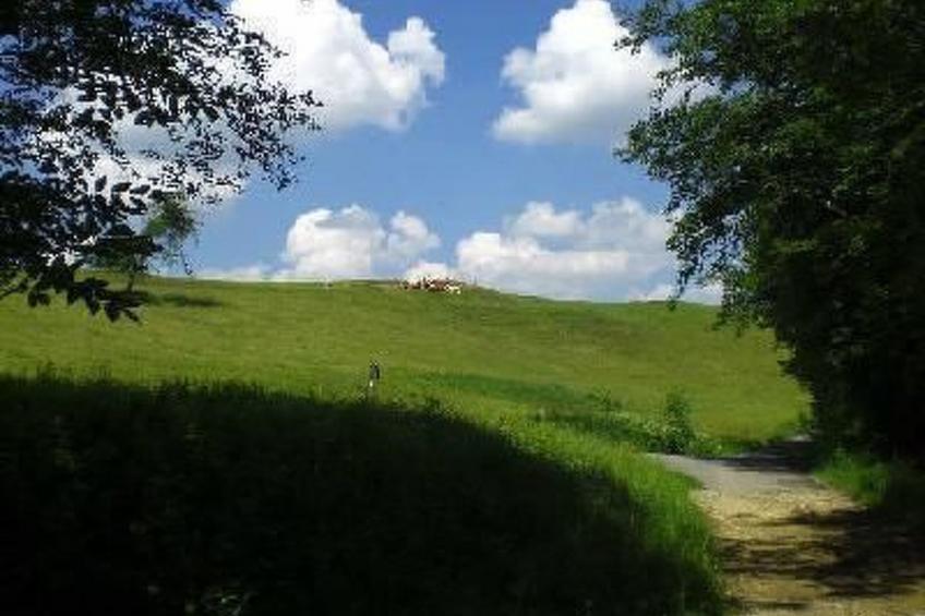 Das Blaue Haus in Hohenweiler - foto 9