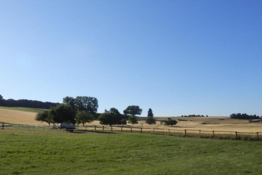 Zum Mensfelder Kopf - foto 35