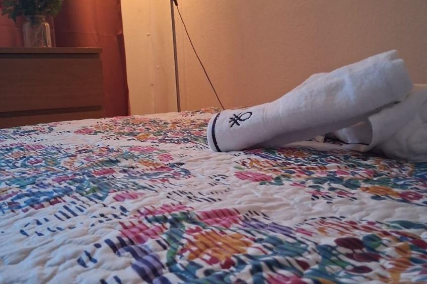 Haus Stadt La Palma 2BedR - foto 34