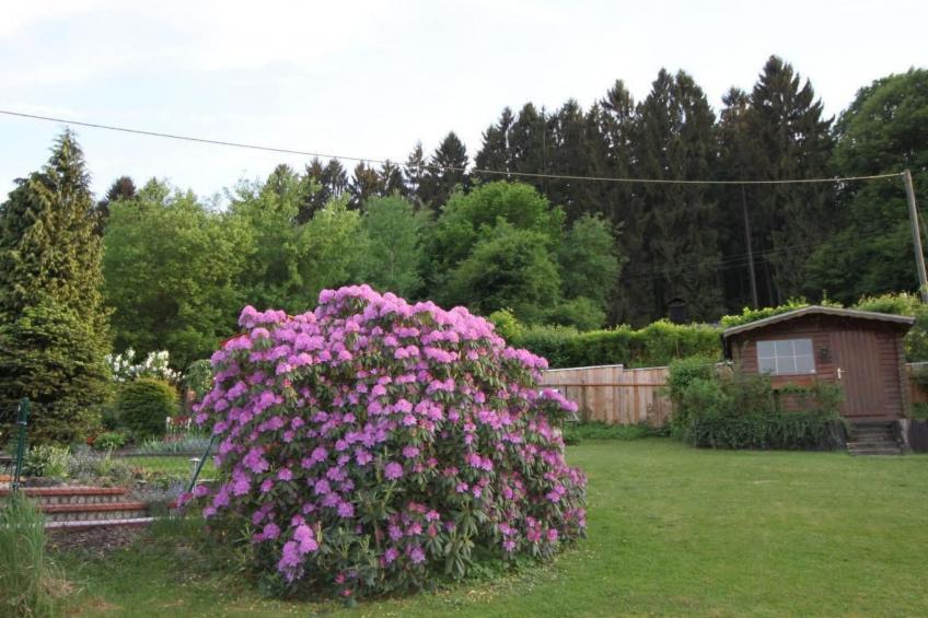in Oberlahr mit Großem Garten - foto 15