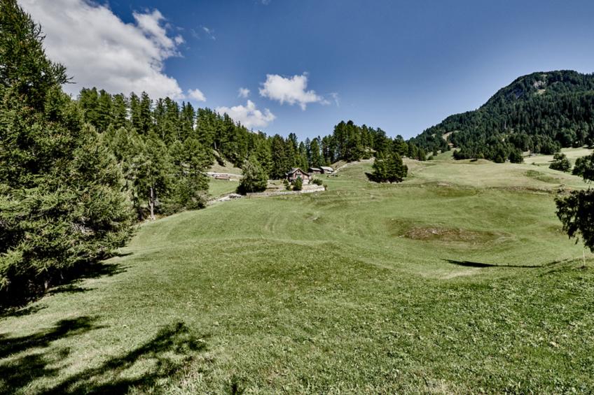 Chalet Lieuretta da Tscharfs, (Feldis). - foto 13